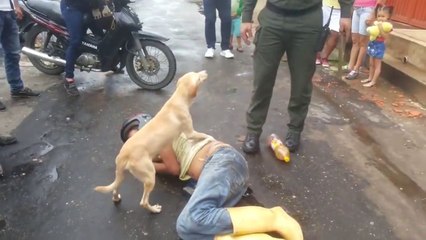 Un chien protège son maître ivre et endormi dans une rue