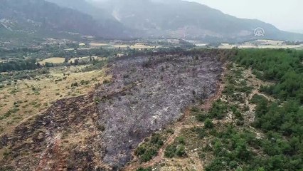Muğla'daki orman yangını
