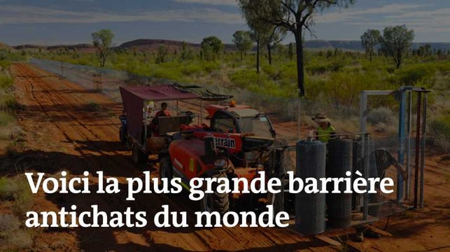 La plus grande barrière antichats du monde se trouve en Australie