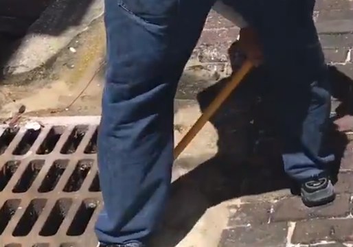 Tiny Chick Rescued From Storm Drain in Tampa