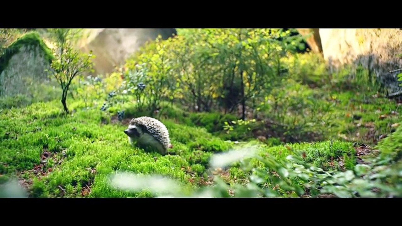 Küçük Cadı Dublajlı Fragman