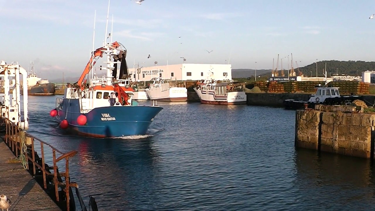 Saida Pesca