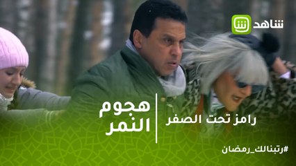 رامز تحت الصفر | لحظه هجوم النمر على كابتن حسام البدرى