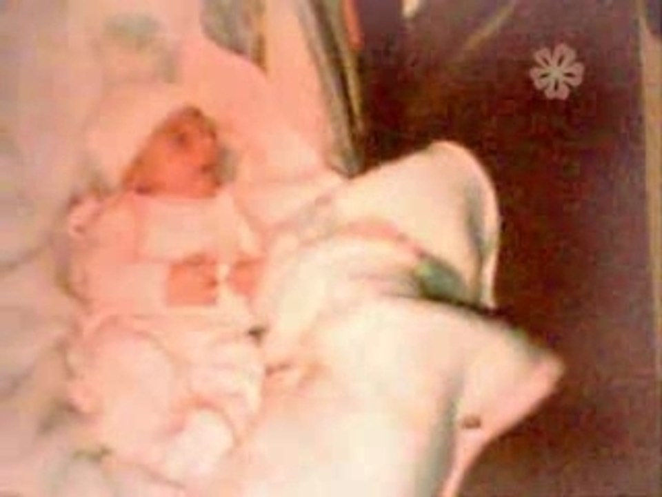 GITAN  FAMILLIA  LOS  TRABOUKO