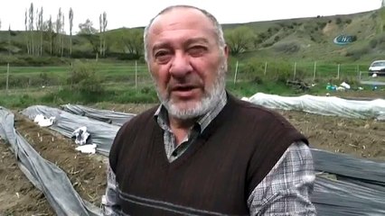 Köyüne Dönen Gurbetçi Kuşkonmaz Üretimine Başladı