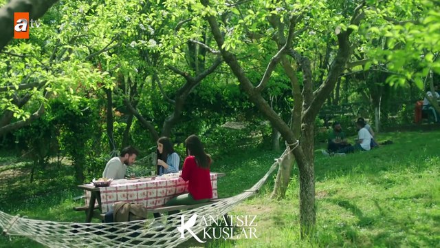 Zeynep’e evlenme teklifi eden Onur! - Kanatsız Kuşlar 46.Bölüm