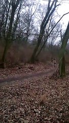 Une course de VTT perturbée par quelque chose d'incroyable... Regardez!