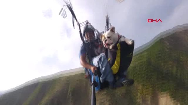 Tekirdağ Köpeğiyle Birlikte Yamaç Paraşütü Yaptı