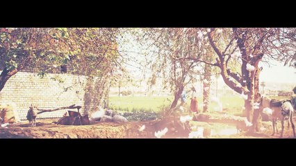 yasmin Ali - Hob Zaman (Music Video) ياسمين علي - حب زمان - - YouTube