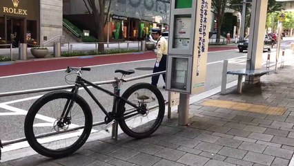 Agente japonés detiene el tráfico para que cruce una familia de patos