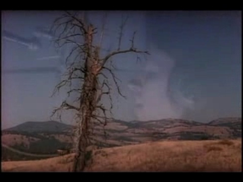 Mark Lanegan - She's Not For You