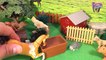 10 FARM ANIMALS 3D PUZZLES SURPRISE TOYS for kids - Horse Cow Pig Cat Dog Squirrel
