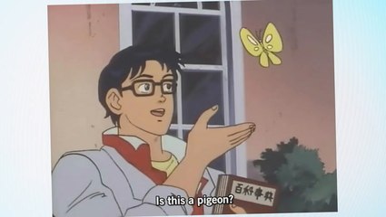 What’s The Story Behind The “Is This A Pigeon” Meme?