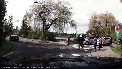 Helping a Beaver Cross the Road