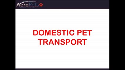 Travel With Your Pet Hassle Free