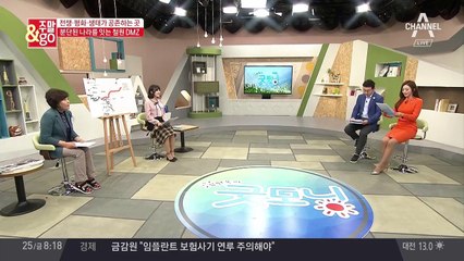 아날로그 감성을 품은 역사의 현장, 철원 DMZ 투어 꿀팁은?