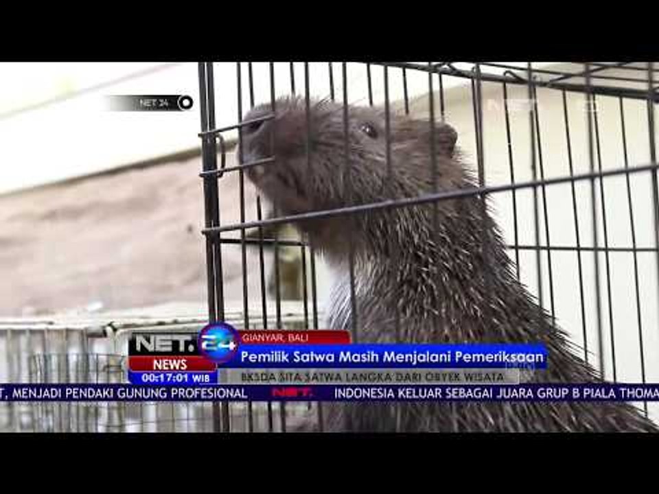 BKSDA Sita Satwa Langka Dari Obyek Wisata  -NET24