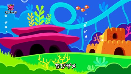 Baby Shark | サメのかぞく 英語 | どうぶつのうた | ピンクフォン童謡