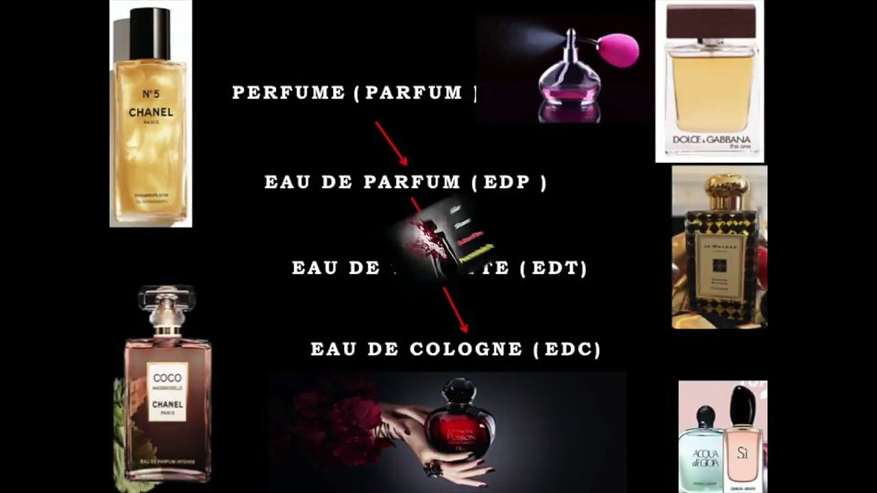 Perfume_vs_Eau_De_Parfum_vs_EDT_vs_EDC video Dailymotion