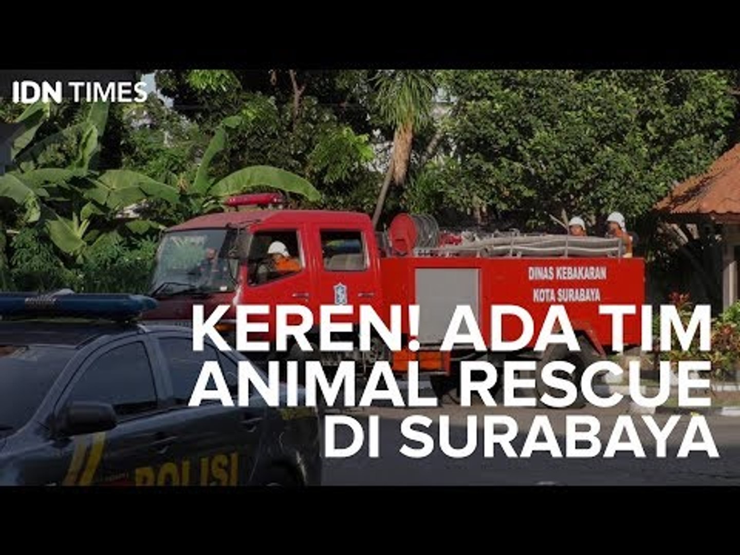 ⁣Keren! Ada Tim Animal Rescue di Surabaya