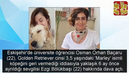 Marley paylaşılamıyor: Ayrılan sevgililer köpek için mahkemelik oldu!