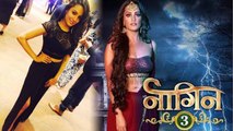 Naagin 3 actress Anita Hassanandani reveals MAJOR SECRET of her life; Find Out Here। FilmiBeat