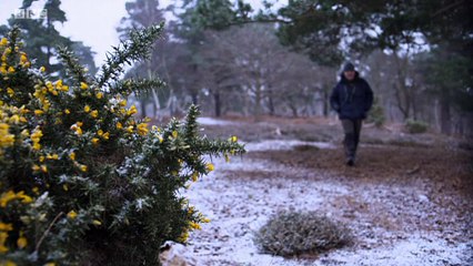 Civilisations Stories 05of11 Treasures of the Bronze Age