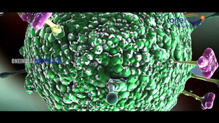 നിപ വൈറസിന് സൗജന്യ ചികിത്സയുമായി ഡോക്ടർ അജയ് | Oneindia Malayalam