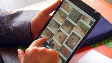 Keneden koruyan basit ama etkili yöntemler - SİVAS