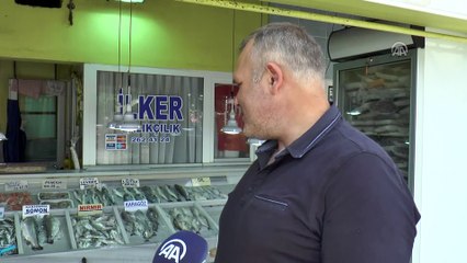 Ramazanda tezgahın gözdesi 'istavrit' - TEKİRDAĞ