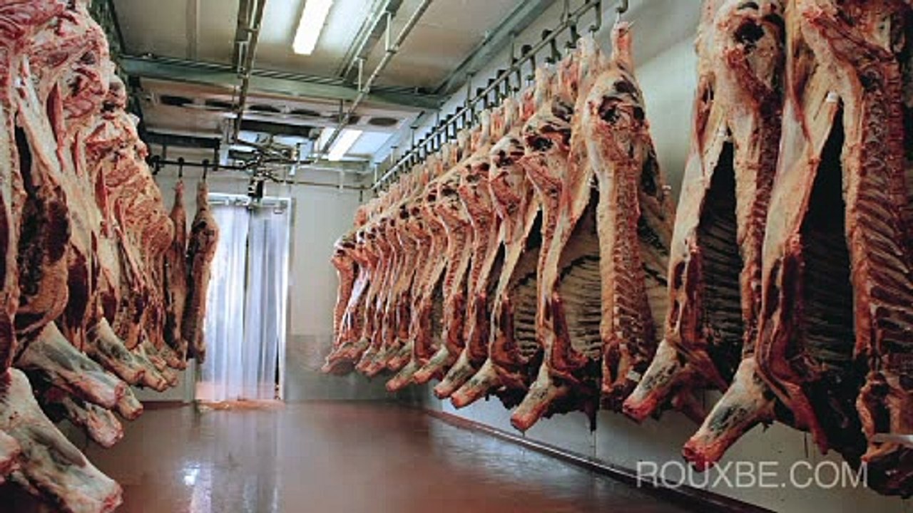 Beef Stake 01 - After Buying 01