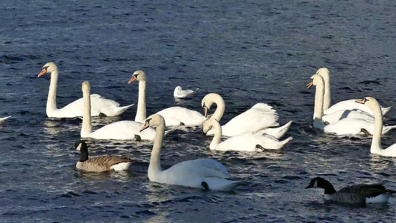 Nature is beautifl