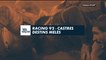 Late Rugby Club -  Racing 92 / Castres : Destins mélés