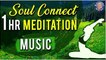 Nature | 1 Hr Meditation Music | Soul Connect | Relaxing & Calming Music For Stress Relief