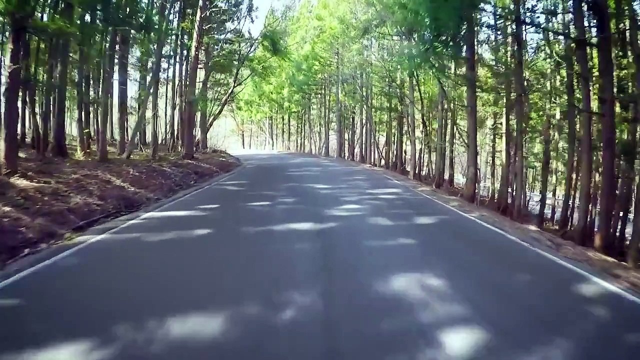 2019 Subaru Forester X-Break