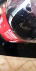 Download Video: Il trouve une araignée dans sa bouteille de coca