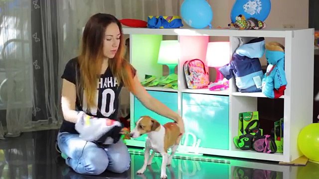 КАК Я СНИМАЮ СОБАКУ на камеру iPhone 7 - ФОТО И ВИДЕО | Elli Di Собаки