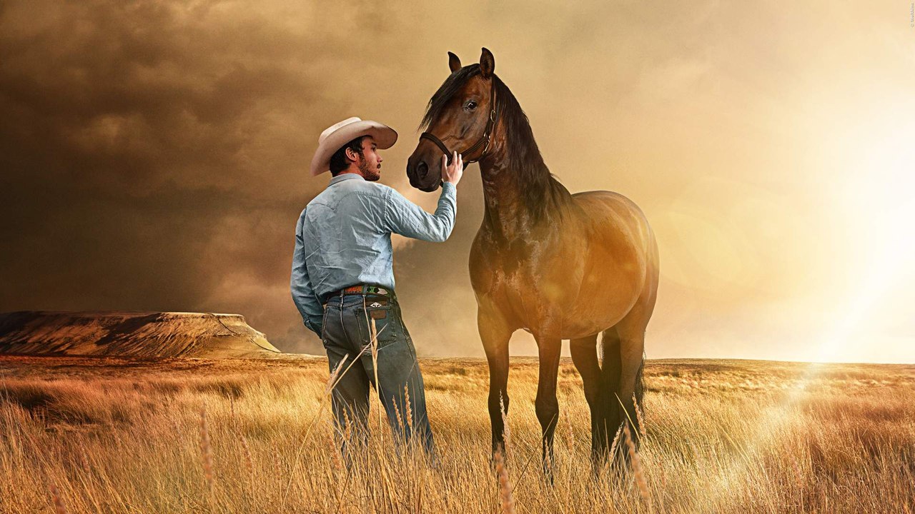 THE RIDER Trailer German Deutsch (2018) HD