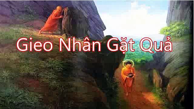 NHÂN QUẢ NGHIỆP BÁO HAY GIEO NHÂN GẶT QUẢ