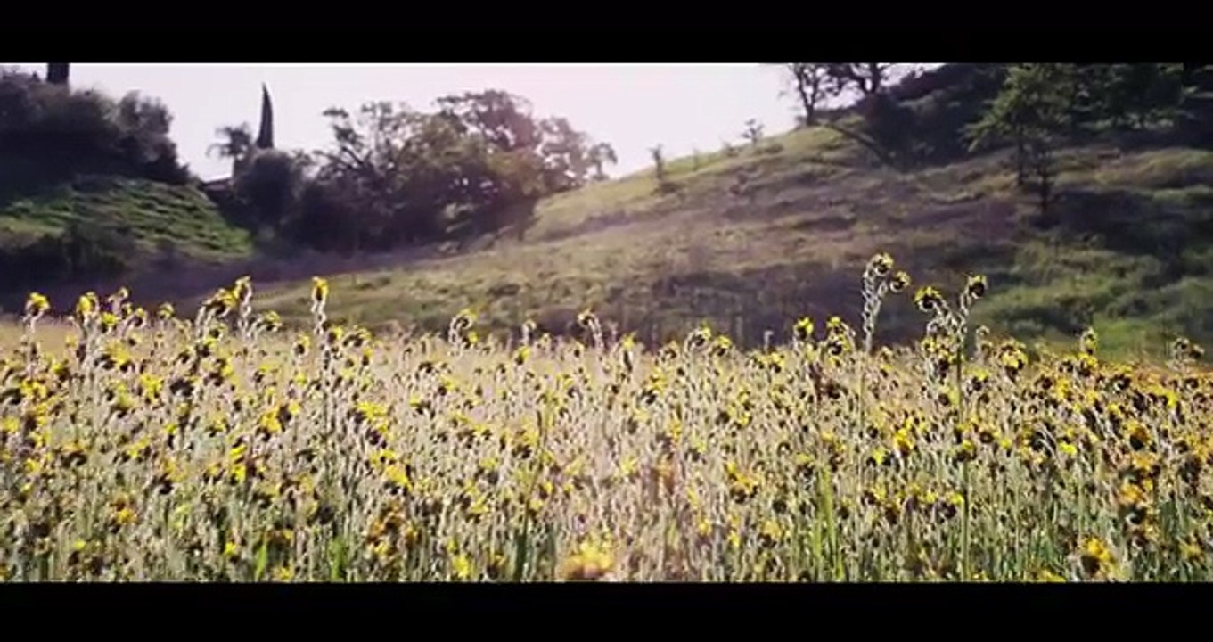 The Girl of Your Dreams • Thru My Eyes | 4k