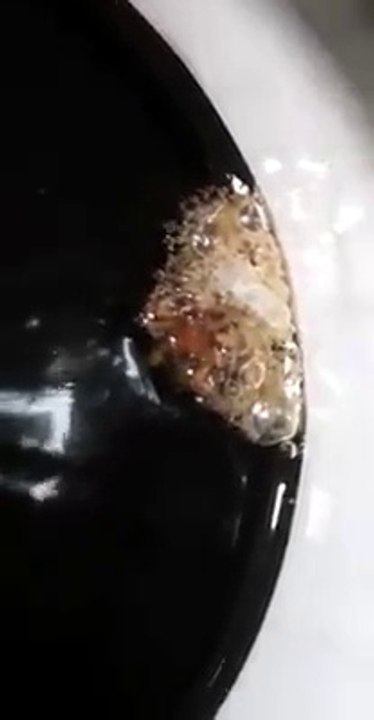Il découvre une araignée dans sa bouteille de coca-cola