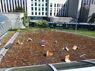 Université de Grenoble : un bâtiment saccagé, "plus d’un million d’euros de travaux" estimé