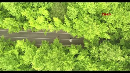 Karabük Ağaçların Tünel Oluşturduğu Yola Büyük İlgi Hd