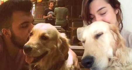 Eski Sevgililerin Köpek Davası Avukatlar Yüzünden Yarım Kaldı