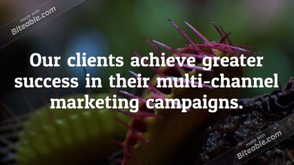 Achieve greater success in their multi-channel marketing campaigns.