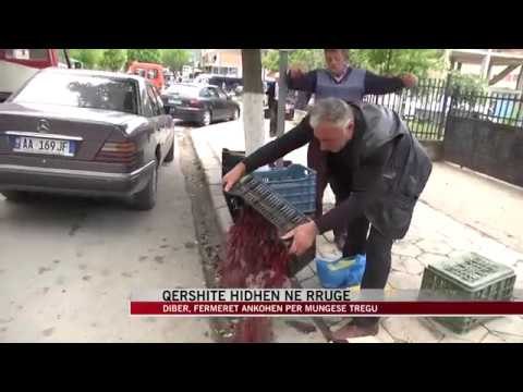 Fermerët ankohen për mungesë tregu për qershitë - News, Lajme - Vizion Plus