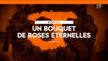 Un bouquet de roses éternelles