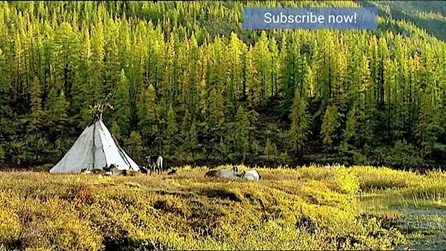 Mongolia. Tsaatan Nomads | Tribes - Planet Doc