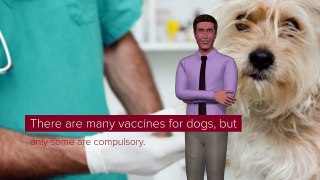 Vaccine Schedule For Dogs ¿What Vaccines For Dogs Are Compulsory?