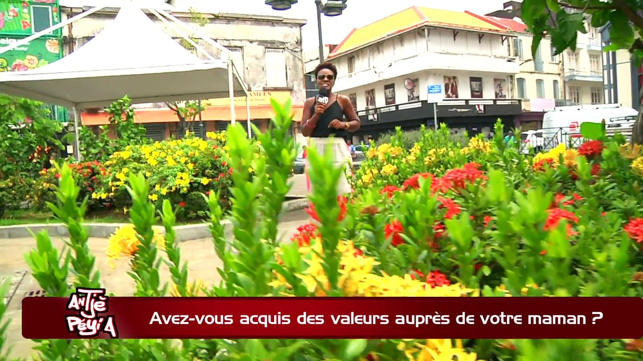 ATPA 25 05 18 VALEURS DE MAMAN CELINE FLERIAG OK